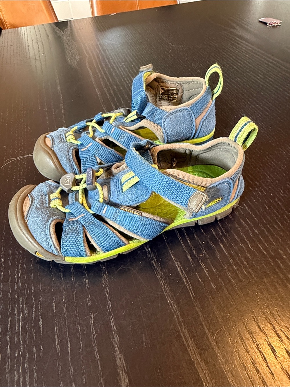 Keen Kids Blue and Lime Green Outdoor Sandals